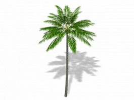 Coconut palm tree 3d model preview