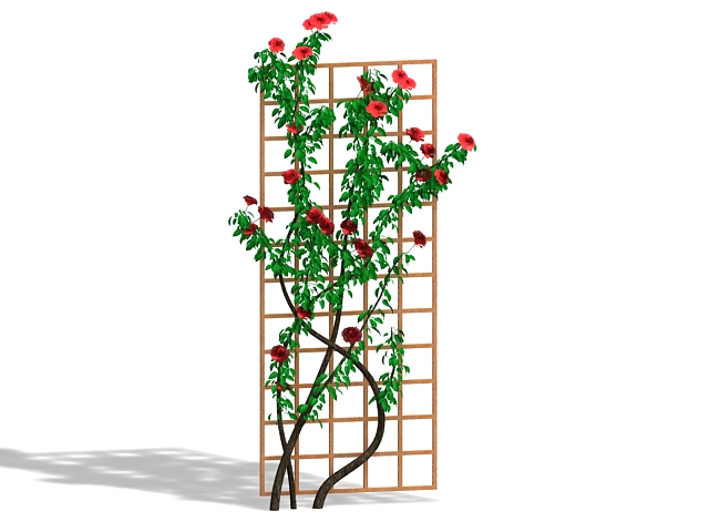 Climbing trellis plants 3d rendering