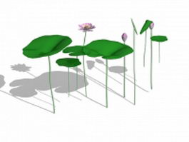 Indian lotus aquatic plants 3d model preview
