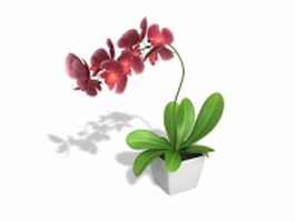 Potted plant with red flowers 3d preview