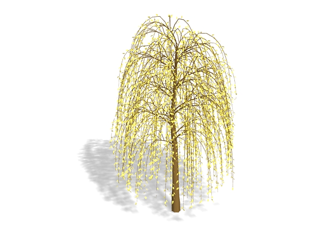 Yellow weeping tree 3d rendering