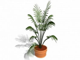 Indoor potted palm plant 3d preview
