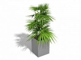 Indoor potplant 3d preview