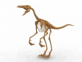 Dinosaur skeleton 3d model preview