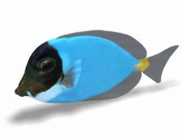 Blue tropical fish 3d model preview