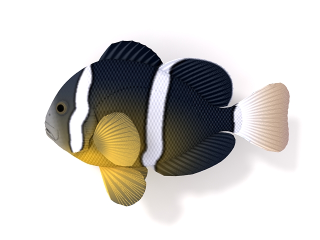 Yellowtail clownfish 3d rendering