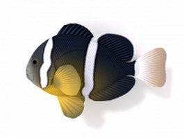 Yellowtail clownfish 3d model preview