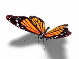 Orange butterfly 3d model preview