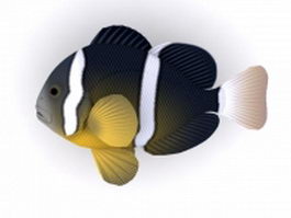 Seychelles anemonefish 3d model preview