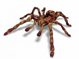 Mexican redknee tarantula 3d model preview
