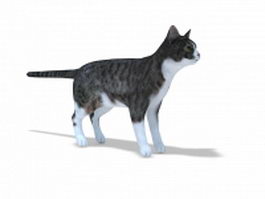 Domestic cat 3d model preview