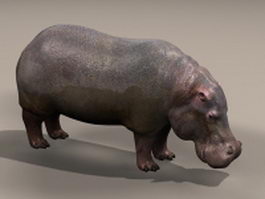 Common hippopotamus 3d model preview