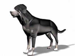 Big black dog 3d model preview