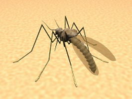 Mosquito feeding on human skin 3d preview