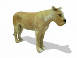 African lioness 3d model preview