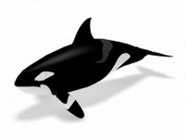 Killer whale 3d preview