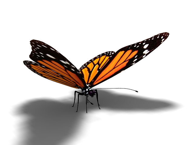 Tiger striped butterfly 3d rendering