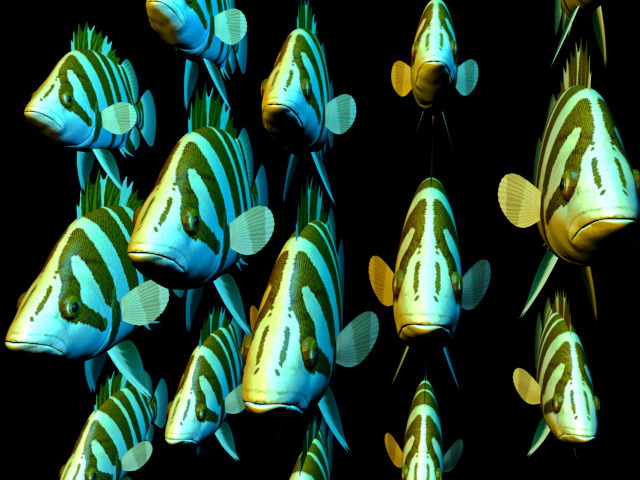 after effects 3d school of fish template download