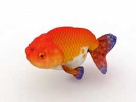 Red Ranchu goldfish 3d preview