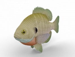 Bluegill fish 3d model preview