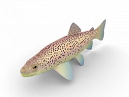Brown trout 3d model preview