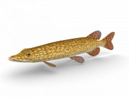 Northern pike 3d model preview