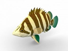 Asian siamese tigerfish 3d model preview
