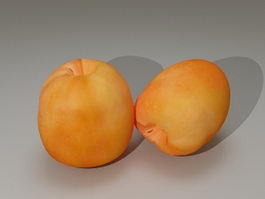 Apricot Fruit 3d preview