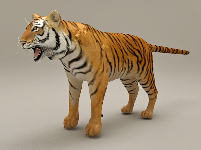 Royel Bengal Tiger | 3D model