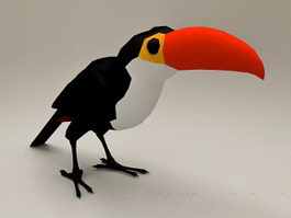 Toucan Parrot 3d model preview