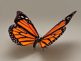 Common Tiger Butterfly 3d preview