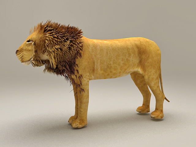 African Lion 3d model - CadNav