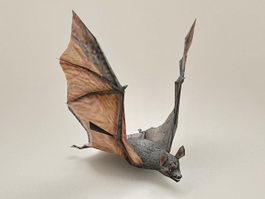 Flying Bat 3d model preview