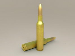 Rifle Bullets 3d model preview