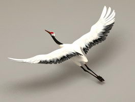 Crane Bird Flying Rigged 3d model preview
