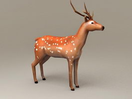 Chital Deer 3d model preview