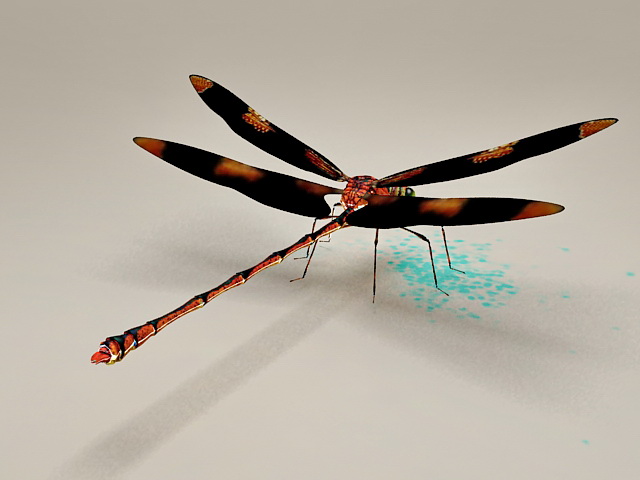 Dragonfly Insect 3d rendering