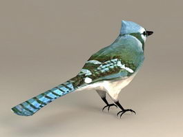 Tree Swallow Bird 3d model preview