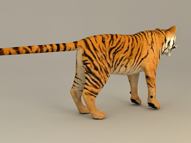 Bengal Tiger 3D Model - 3DCADBrowser