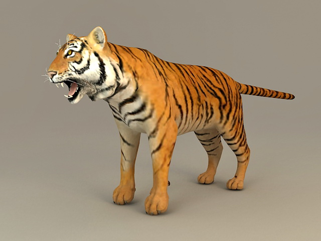 realistic bengal tiger 3D Model