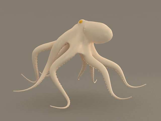 Giant Octopus 3d rendering