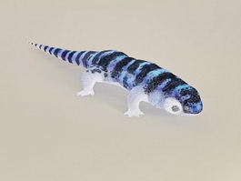 Blue & Black Lizard 3d model preview