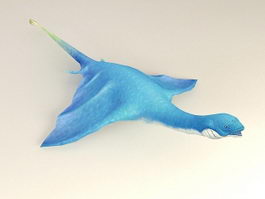 Flying Turtle 3d model preview