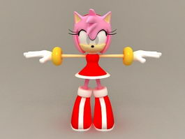 Amy Rose Sonic the Hedgehog Character 3d preview