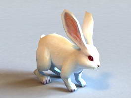 White Rabbit 3d model preview