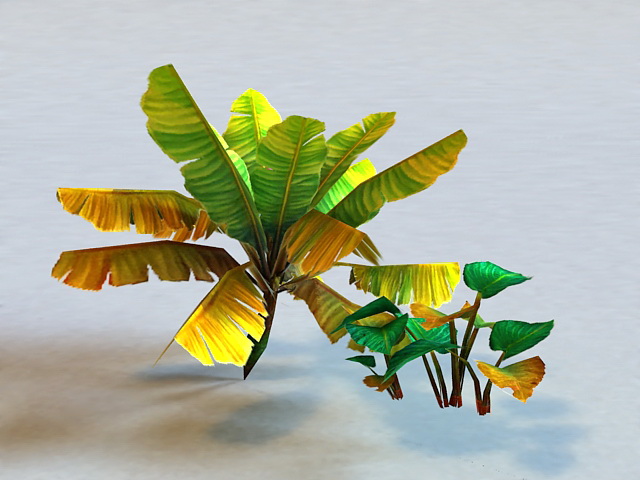 Tropical Plant Low Poly 3d rendering