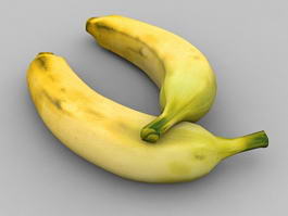 Two Bananas 3d model preview