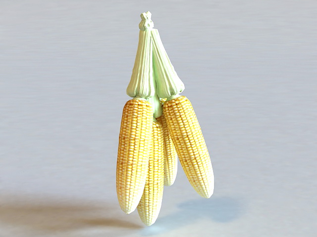 Corn Cobs 3d rendering