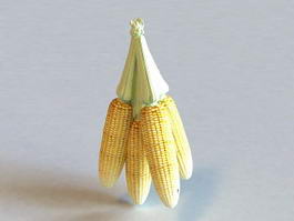 Corn Cobs 3d preview
