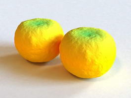 Mandarin Oranges 3d model preview